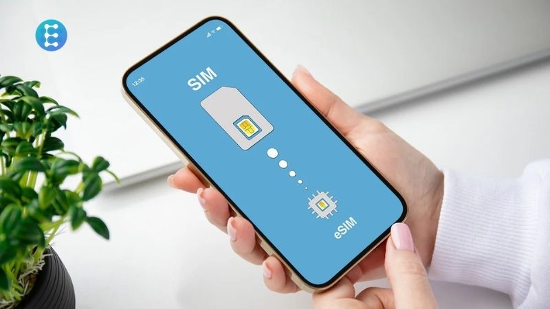 Các nhà mạng lớn tại Pháp